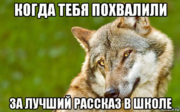 когда тебя похвалили за лучший рассказ в школе, Мем   Volf