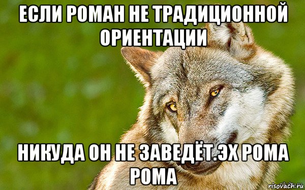 если роман не традиционной ориентации никуда он не заведёт.эх рома рома, Мем   Volf