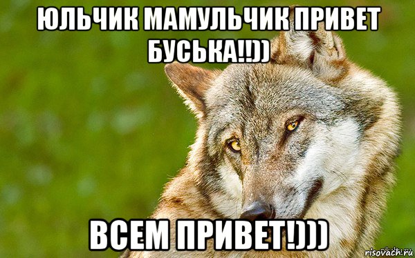 юльчик мамульчик привет буська!!)) всем привет!))), Мем   Volf