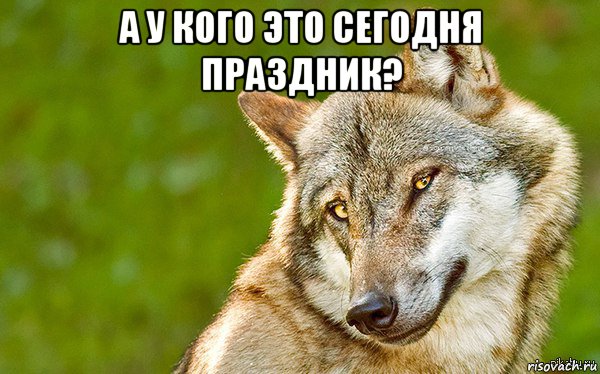 а у кого это сегодня праздник? , Мем   Volf