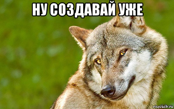 ну создавай уже , Мем   Volf