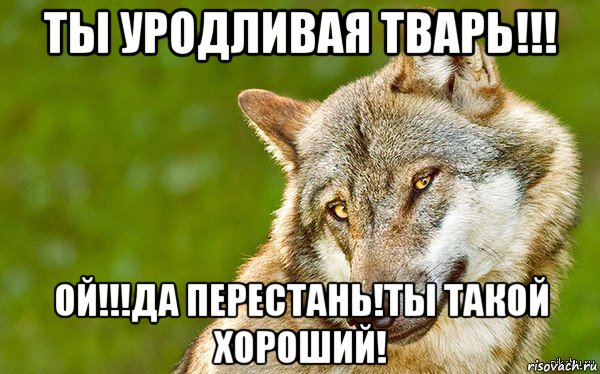 ты уродливая тварь!!! ой!!!да перестань!ты такой хороший!, Мем   Volf