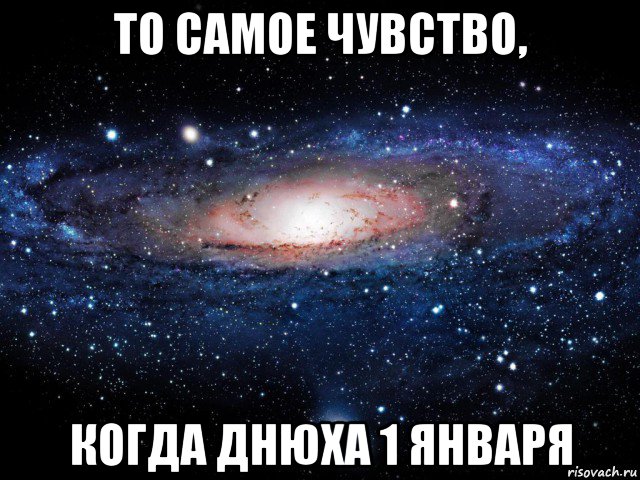 то самое чувство, когда днюха 1 января