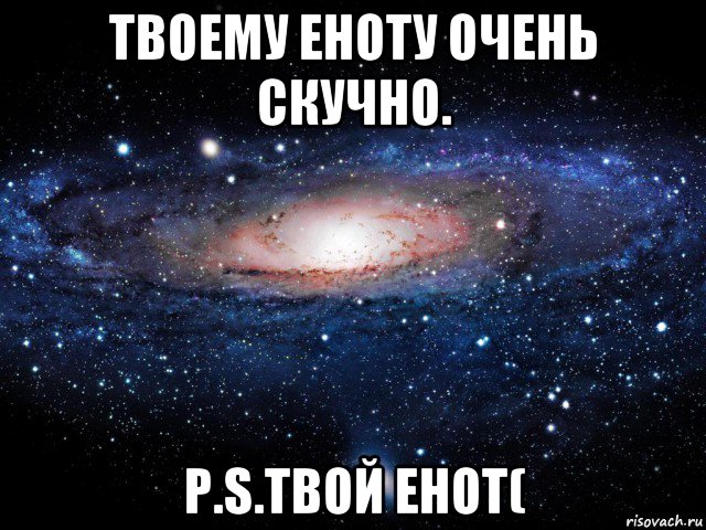 твоему еноту очень скучно. p.s.твой енот(, Мем Вселенная