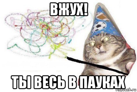 вжух! ты весь в пауках, Мем Вжух мем