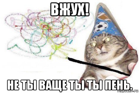 вжух! не ты ваще ты ты пень., Мем Вжух мем