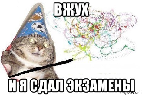 вжух и я сдал экзамены, Мем Вжух