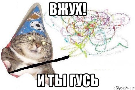 вжух! и ты гусь