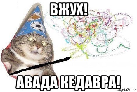 вжух! авада кедавра!, Мем Вжух