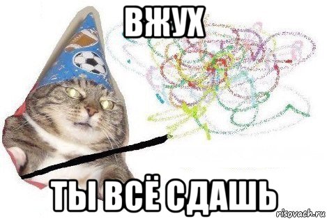 вжух ты всё сдашь, Мем Вжух