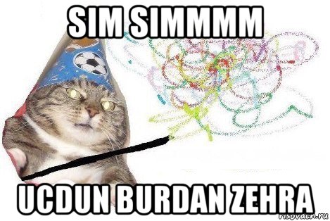 sim simmmm ucdun burdan zehra, Мем Вжух