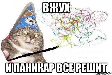 вжух и паникар все решит, Мем Вжух