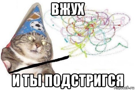 вжух и ты подстригся, Мем Вжух