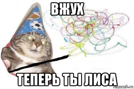 вжух теперь ты лиса, Мем Вжух