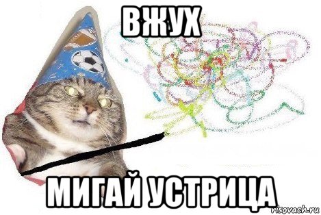 вжух мигай устрица, Мем Вжух