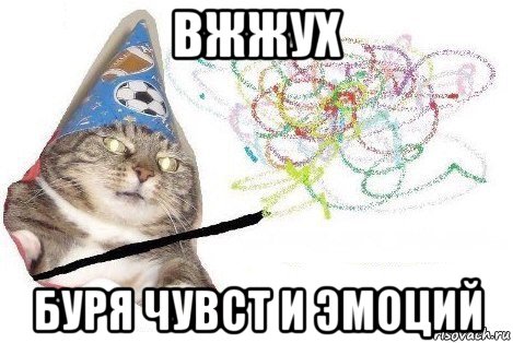 вжжух буря чувст и эмоций, Мем Вжух