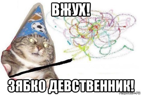 вжух! зябко девственник!, Мем Вжух