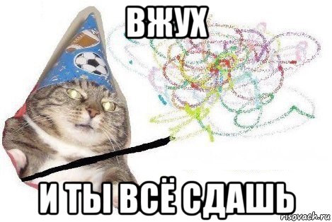 вжух и ты всё сдашь, Мем Вжух