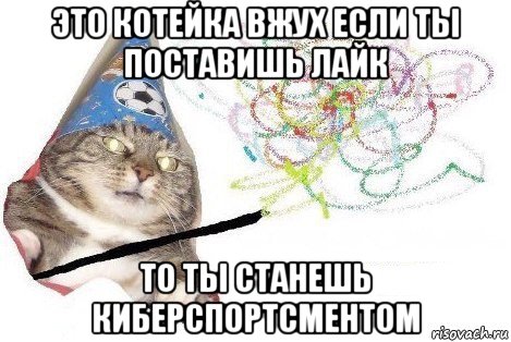 это котейка вжух если ты поставишь лайк то ты станешь киберспортсментом, Мем Вжух