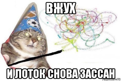 вжух и лоток снова зассан, Мем Вжух