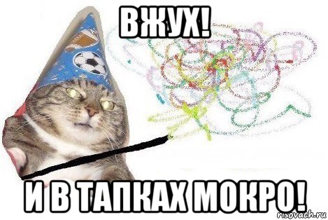 вжух! и в тапках мокро!, Мем Вжух