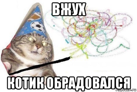 вжух котик обрадовался, Мем Вжух