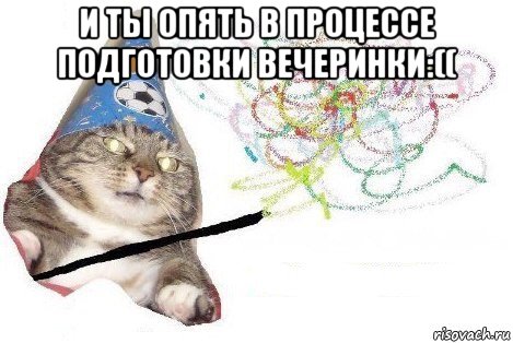 и ты опять в процессе подготовки вечеринки:(( , Мем Вжух