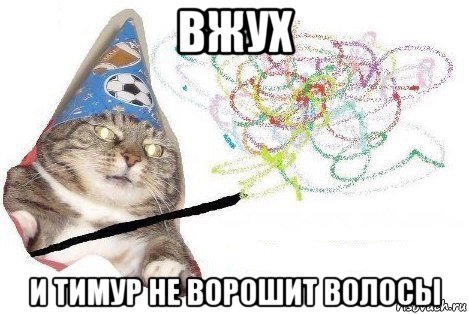 вжух и тимур не ворошит волосы, Мем Вжух