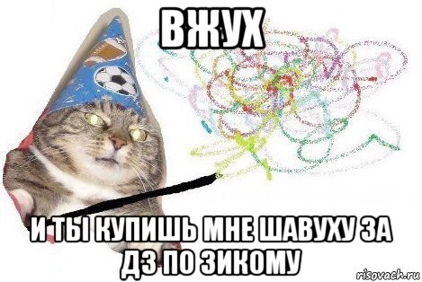 вжух и ты купишь мне шавуху за дз по зикому, Мем Вжух