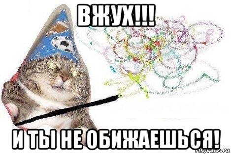 вжух!!! и ты не обижаешься!, Мем Вжух