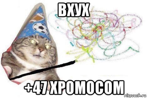 вхух +47 хромосом, Мем Вжух