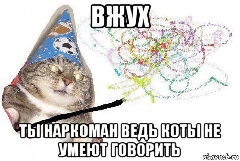 вжух ты наркоман ведь коты не умеют говорить, Мем Вжух