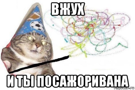 вжух и ты посажоривана, Мем Вжух