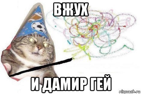 вжух и дамир гей, Мем Вжух