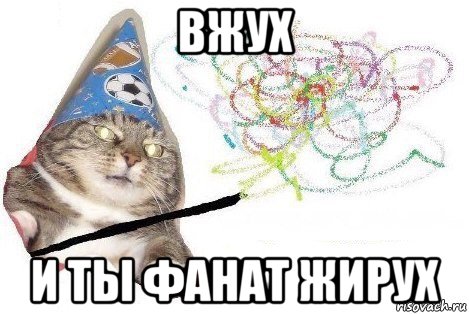 вжух и ты фанат жирух, Мем Вжух