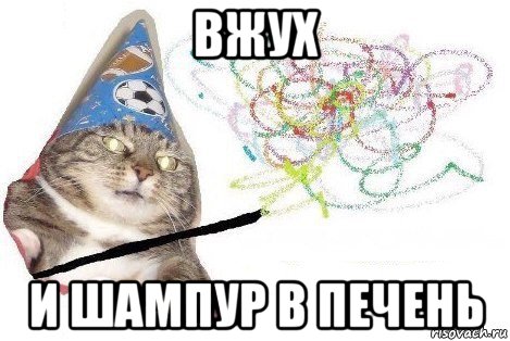 вжух и шампур в печень, Мем Вжух