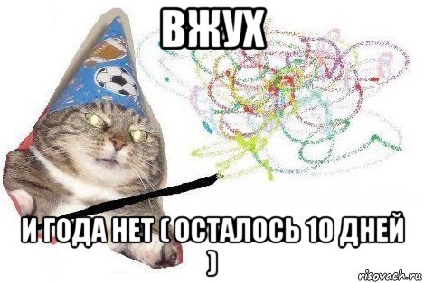 вжух и года нет ( осталось 10 дней ), Мем Вжух