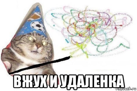  вжух и удаленка, Мем Вжух