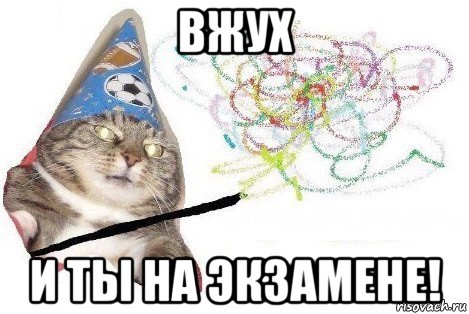 вжух и ты на экзамене!, Мем Вжух