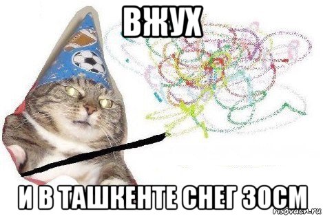 вжух и в ташкенте снег 30см, Мем Вжух