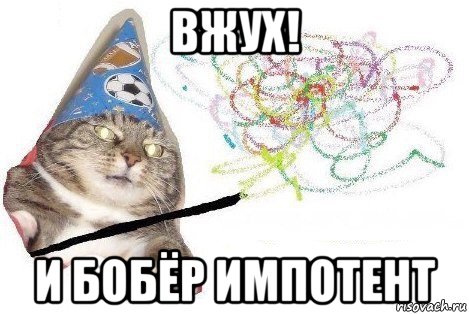 вжух! и бобёр импотент, Мем Вжух