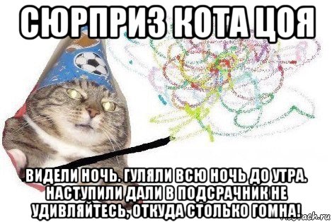 сюрприз кота цоя видели ночь. гуляли всю ночь до утра. наступили дали в подсрачник не удивляйтесь, откуда столько гомна!, Мем Вжух