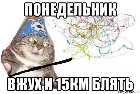 понедельник вжух и 15км блять, Мем Вжух