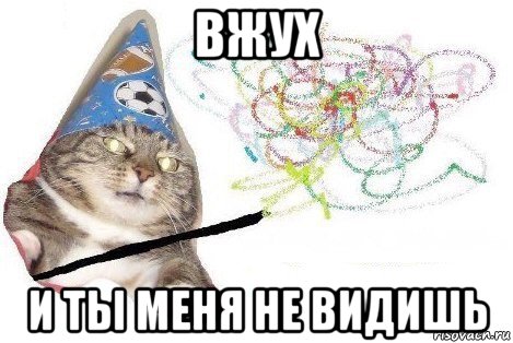 вжух и ты меня не видишь, Мем Вжух