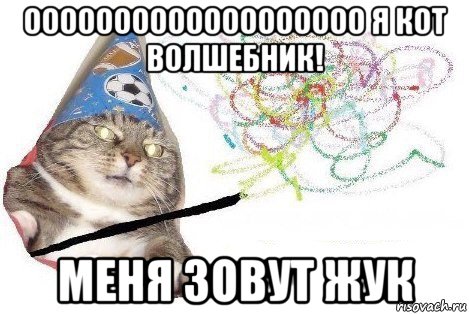 ооооооооооооооооооо я кот волшебник! меня зовут жук, Мем Вжух