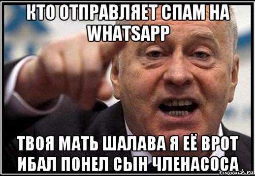 кто отправляет спам на whatsapp твоя мать шалава я её врот ибал понел сын членасоса, Мем жириновский ты