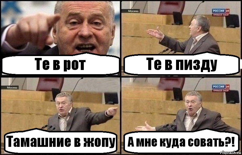 Те в рот Те в пизду Тамашние в жопу А мне куда совать?!, Комикс Жириновский