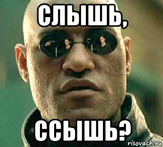 слышь, ссышь?