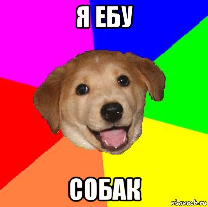 я ебу собак, Мем Advice Dog