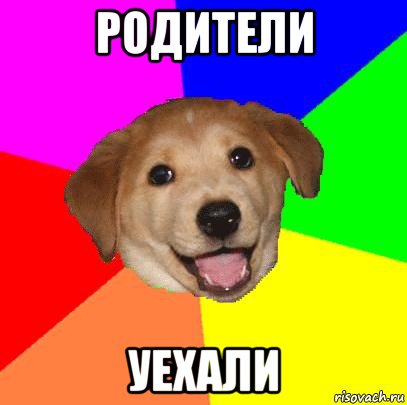 родители уехали, Мем Advice Dog